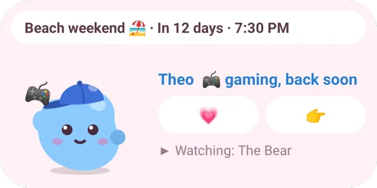 The home screen widget
